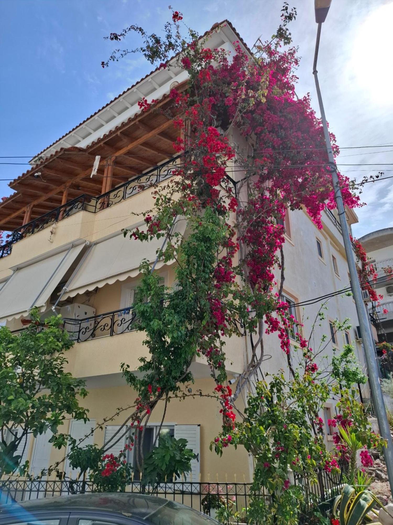 Vila Veli Brothers Саранда Экстерьер фото